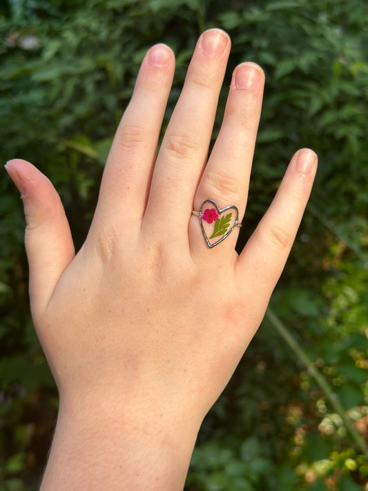 Quinn Ring